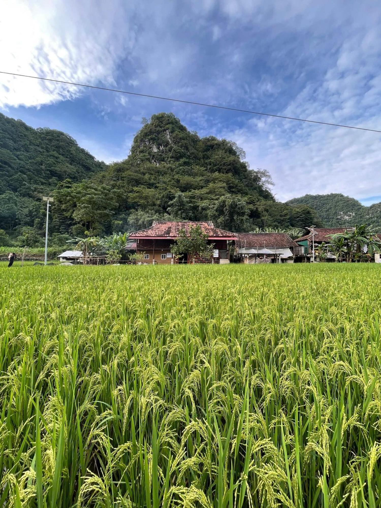 Nung An Homestay Quang Uyen Экстерьер фото